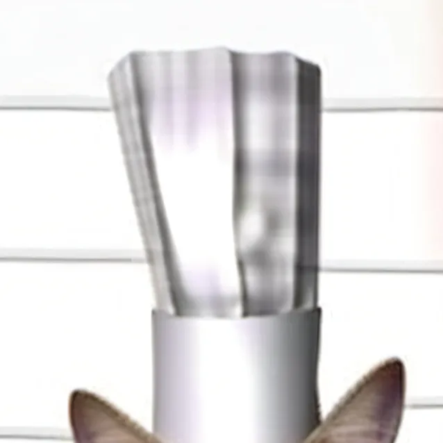 chat with ai character: Max