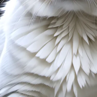 chat with ai character: Drunk cat