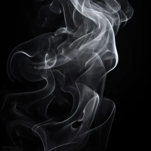 creator ☆Kyosaru-chan☆'s avatar