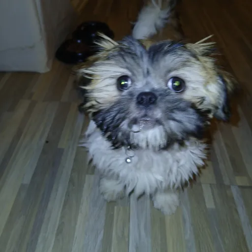 creator °•☆Jay-Jay☆•°'s avatar