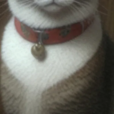 chat with ai character: Snowe