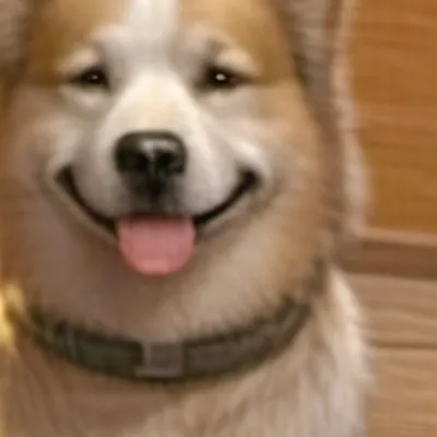 chat with ai character: Emotional support 