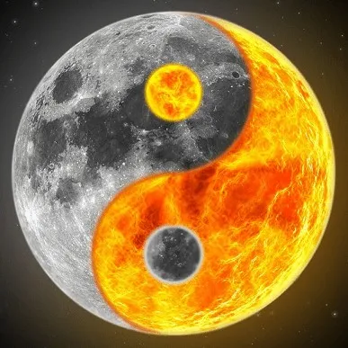 creator MAITRE's avatar