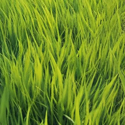 chat with ai character: TOUCH GRASS ITGOOD