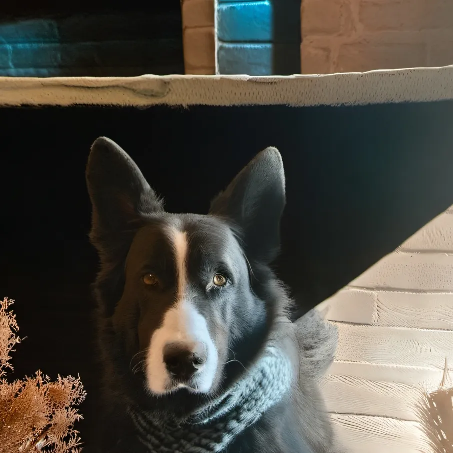 chat with ai character: Custom critters