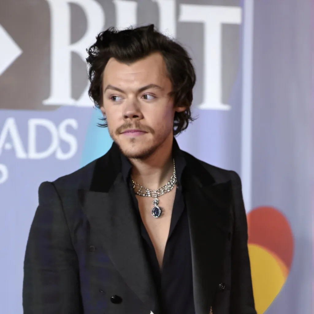 chat with ai character: Harry Styles