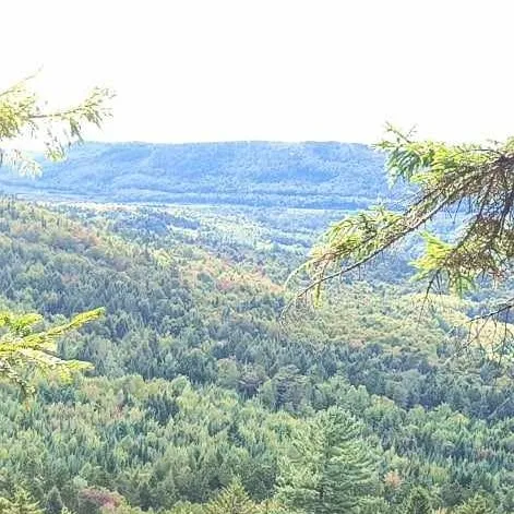 creator AriyaEmris's avatar