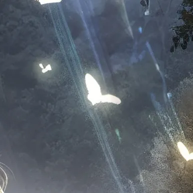 chat with ai character: FPE kidnapped you!