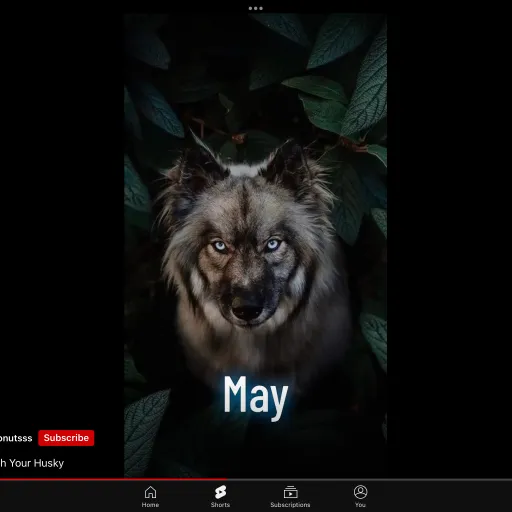 creator Kitty😸 softpaws's avatar