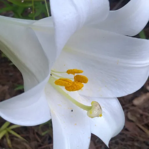 creator ♡ ~Wallet~ ♡'s avatar