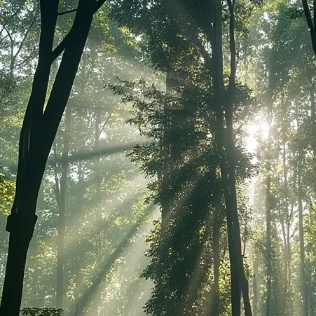 chat with ai character: Past SBI