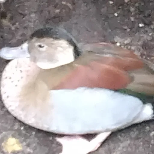 creator Michael Larsson's avatar