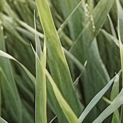 chat with ai character: Touch grass