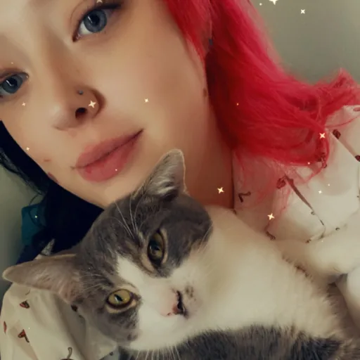 creator Talkior-qFKCFJqr's avatar