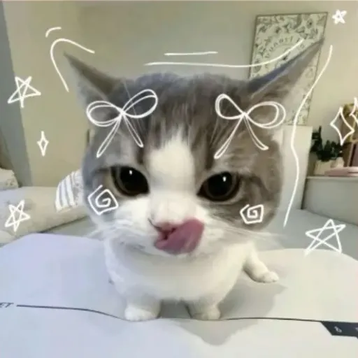 creator Your_girl_Mads🌼's avatar