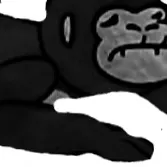 creator nkey's avatar