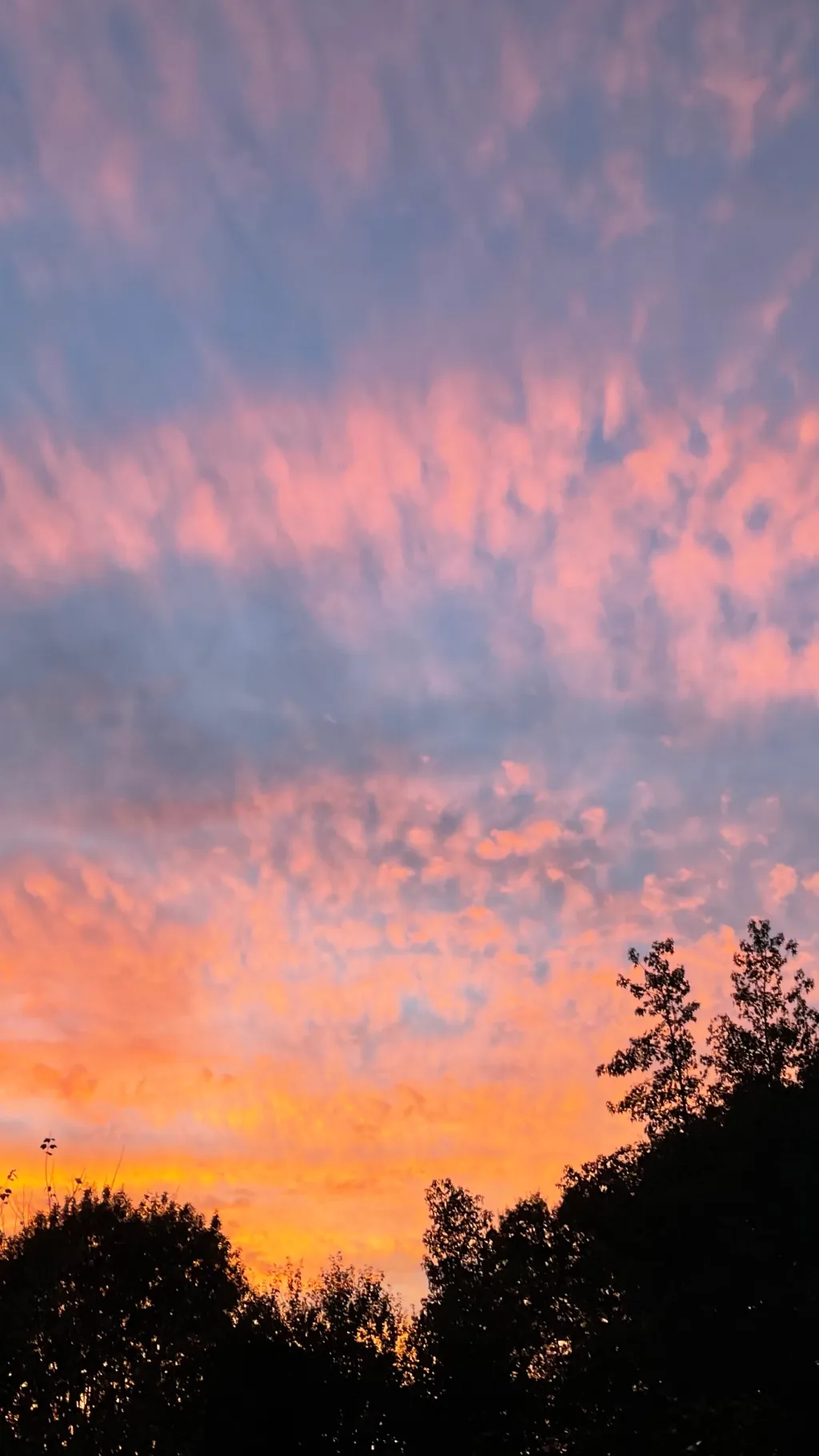 ai character: MHA SCP 973 background