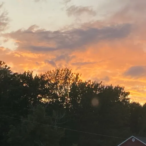 creator Talkior-zxEqB60I's avatar