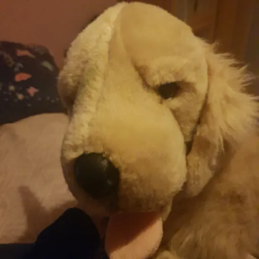 creator Sophia#sprinkle182's avatar