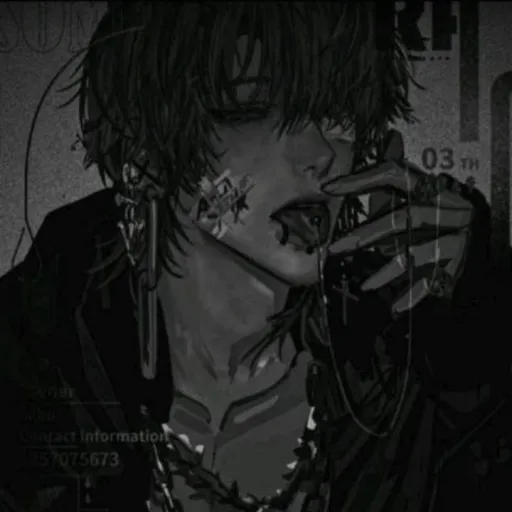 creator Wolfys[life]'s avatar