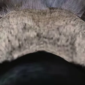 creator RATATATAHEEEEE's avatar