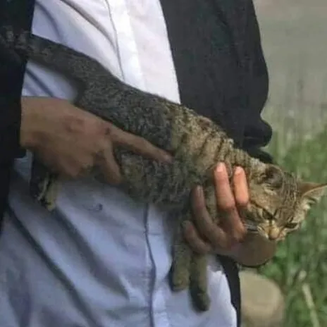 creator Me myself and i🥐's avatar