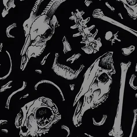 creator Skull Luna's avatar