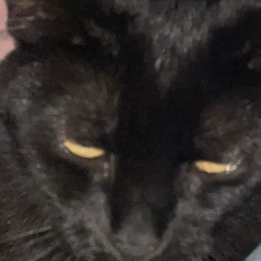 creator Katkit67's avatar