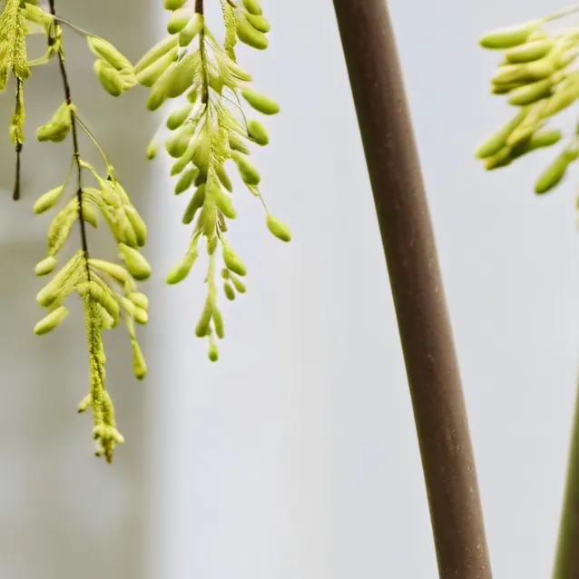 chat with ai character: Safe place