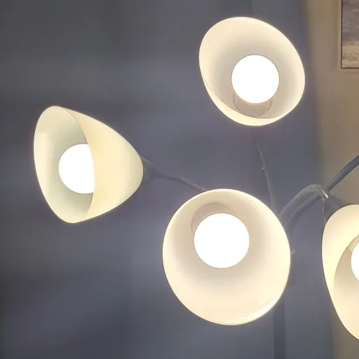 creator Calliver's avatar