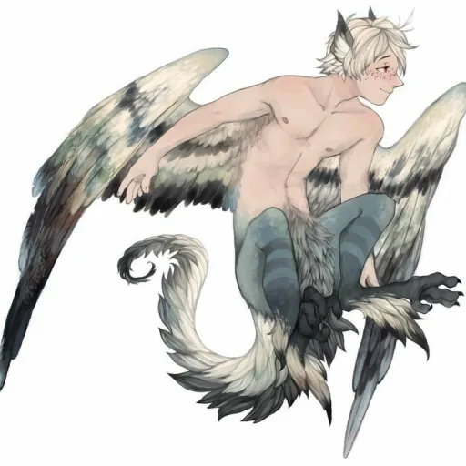 creator Leo Windgate's avatar