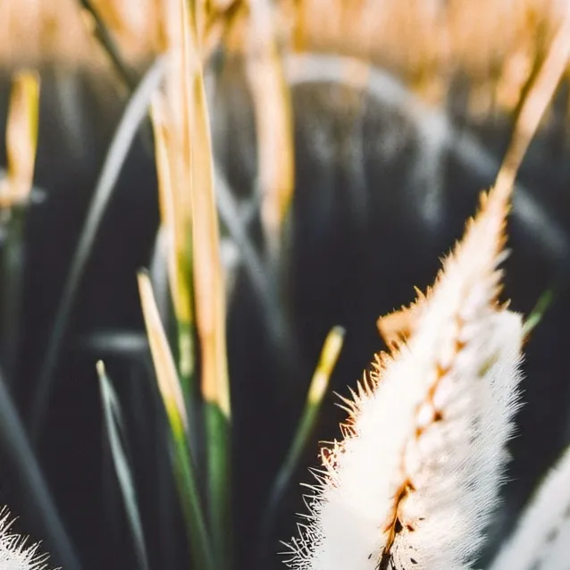 chat with ai character: WHY U ON THIS💀💀