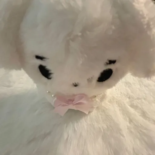 creator Miffythemiffcat's avatar