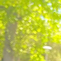 creator 0AM's avatar