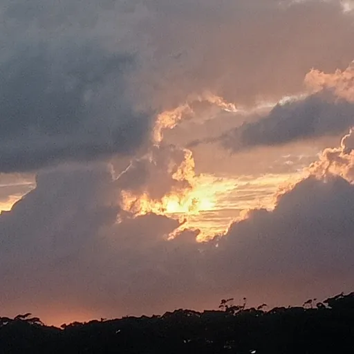 creator LucyxLuca's avatar