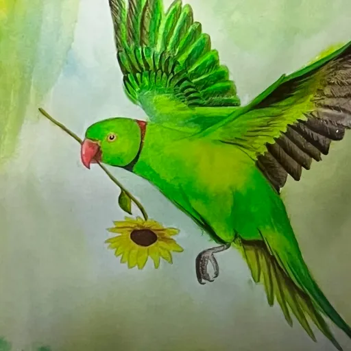 creator Birb 🦜's avatar