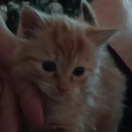 creator JACK67809766's avatar