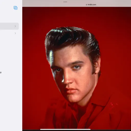creator Elvis lover697's avatar