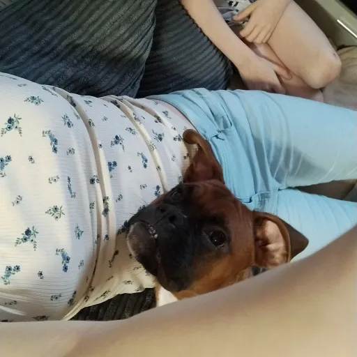 talkie's author avatar