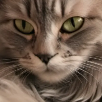 chat with ai character: Aurora