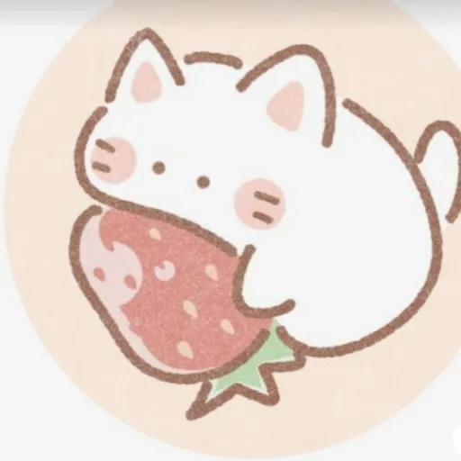 creator Talkior-zFnsbgz4's avatar