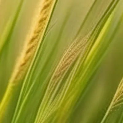 chat with ai character: Touch grass 🙏💀