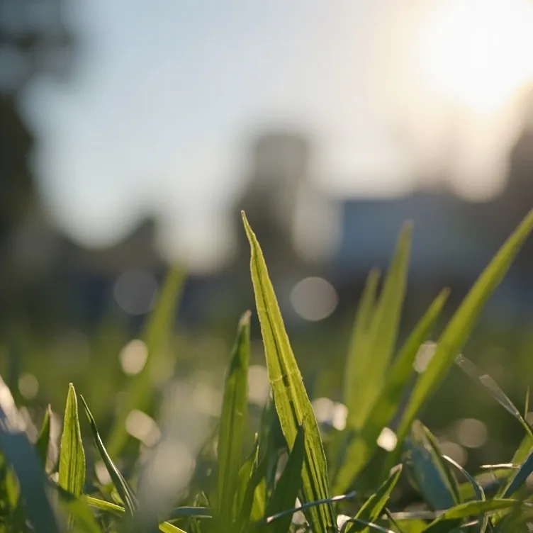 chat with ai character: Touch grass NOW