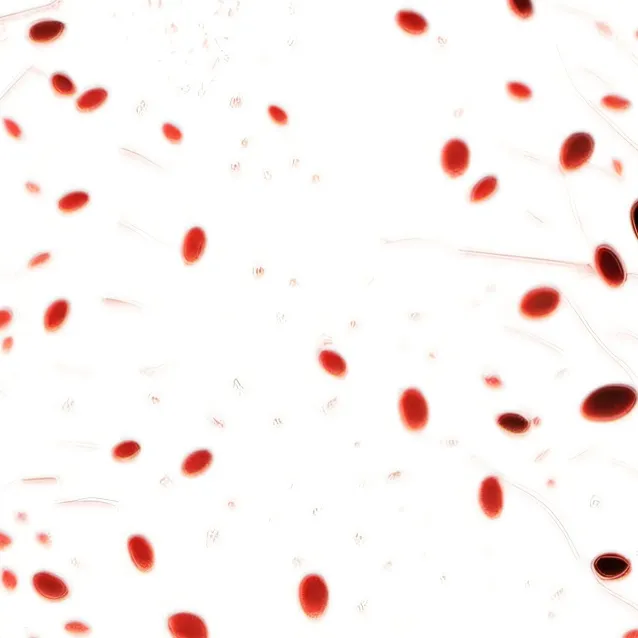 chat with ai character: ... 