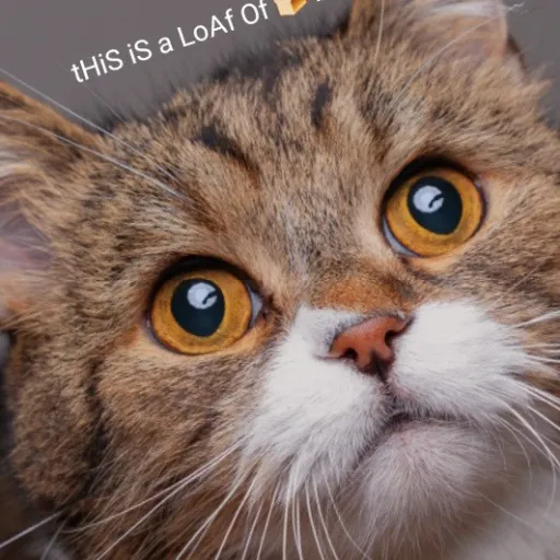 creator ThAtLePeRcHaUn's avatar