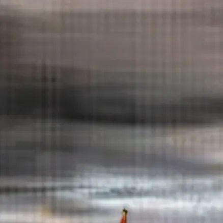 chat with ai character: digital