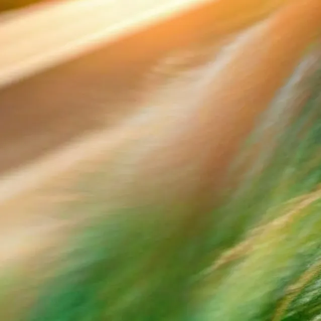 chat with ai character: can finish lirics 