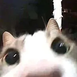 creator cheriiOs's avatar