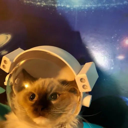 creator #nobodyimportant's avatar