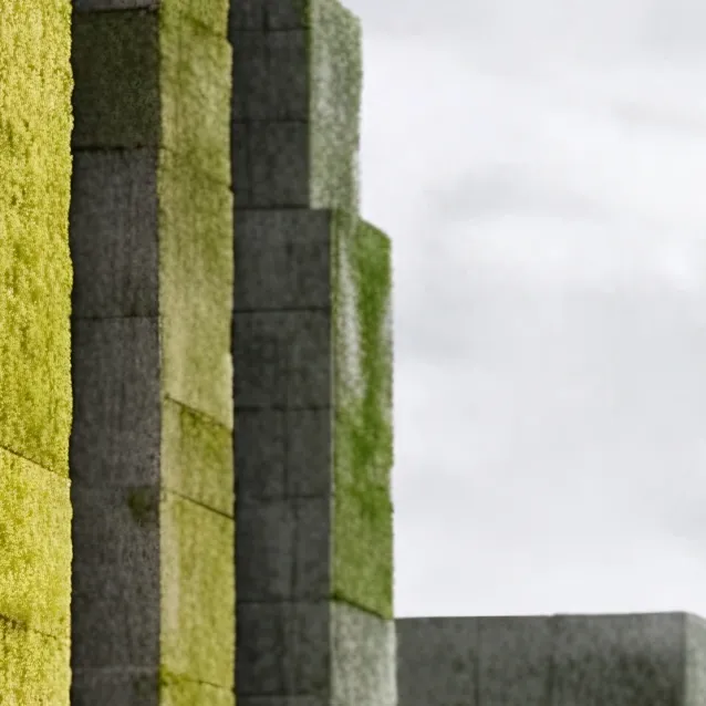 chat with ai character: Newts Broken Leg